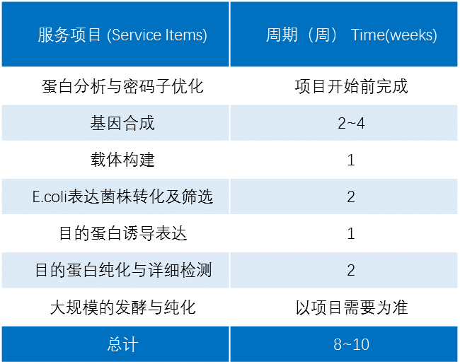 富含二硫鍵蛋白的原核表達(dá)服務(wù)；Rich in Disulfide Bond Protein Expression